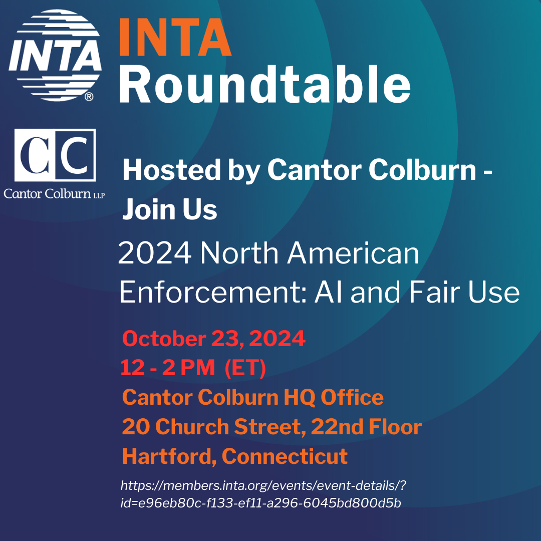 INTA Roundtable discussion, "Enforcement: AI & Fair Use" 10/23/24 logo